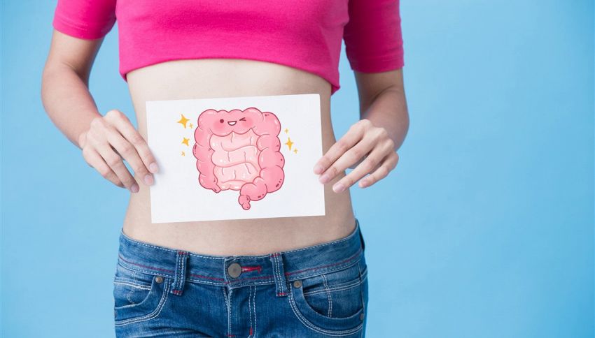 Abbiamo un secondo cervello e si trova nella pancia