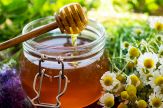 Perché le api producono il miele?