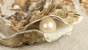 Perché nelle ostriche ci sono le perle?