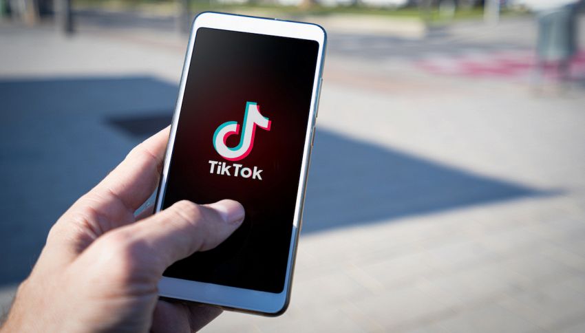 TikTok: una petizione blocca l’account di un’insegnante vegana