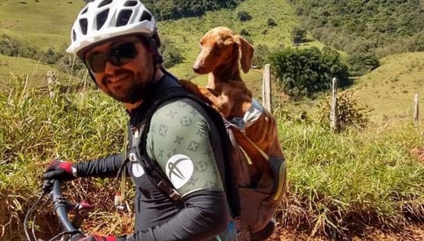 In bicicletta insieme: la storia del cane salvato da un ciclista