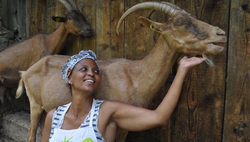 ‘La Capra Felice’: una ventenne sta curando gli animali di Agitu