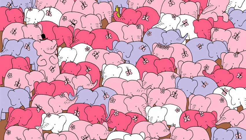 Riesci a trovare il cuore nascosto tra gli elefanti?