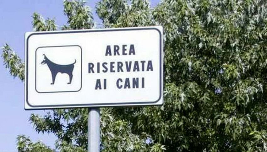 "Più aree cani a Palermo": la richiesta dell'Oipa