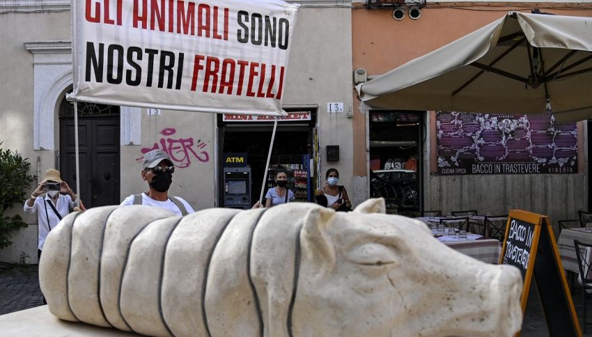 La statua della porchetta che ha indignato gli animalisti