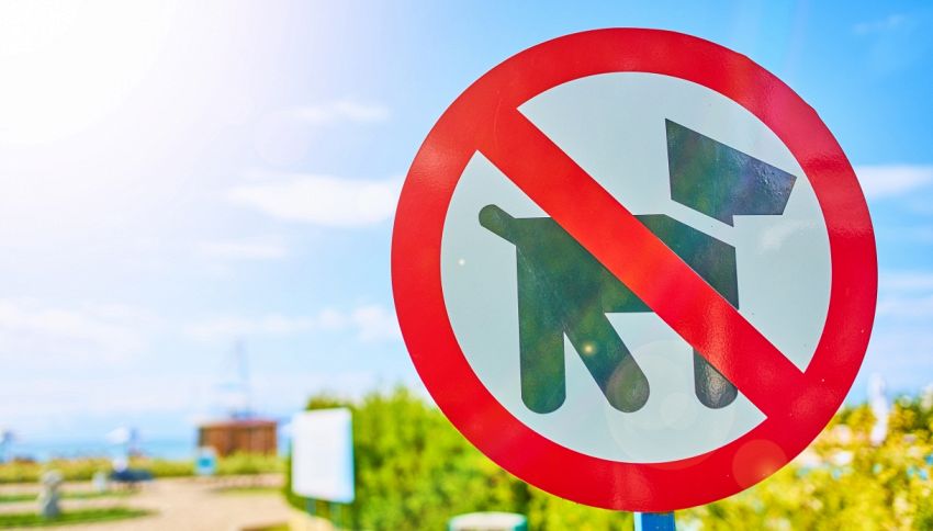 Tursi, il sindaco vieta le piazze ai cani