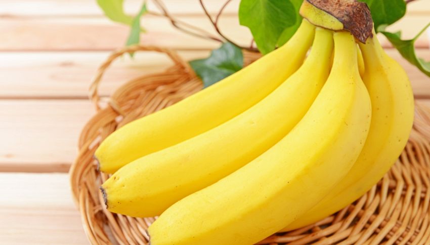 La banana non è un frutto: cos'è in realtà. Inganno della natura