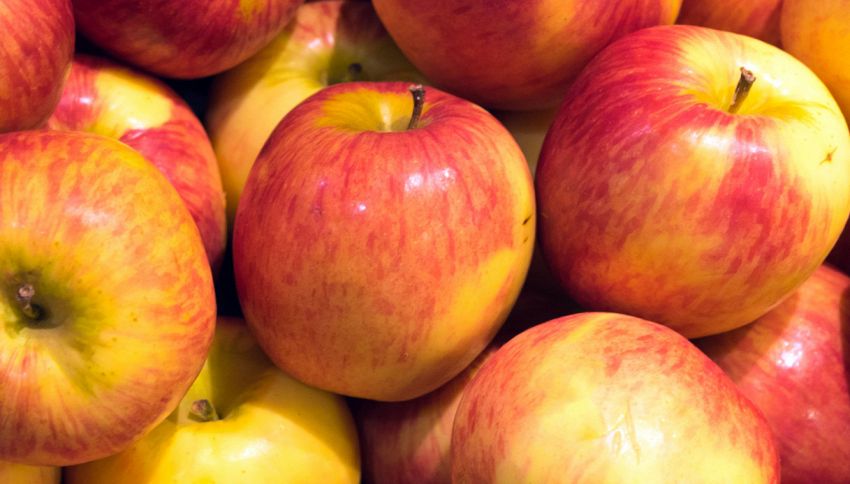 A cosa servono gli sticker sulle mele: la spiegazione su TikTok
