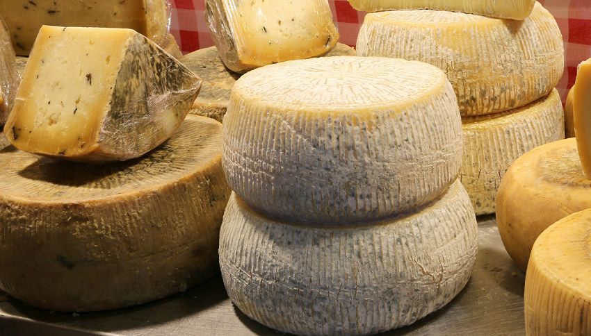 Il formaggio più 'letale' al mondo è italiano: bandito in UE. Cosa contiene
