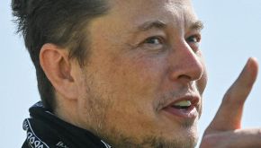 Elon Musk prende farmaco dei cavalli: cosa dovrebbe migliorargli