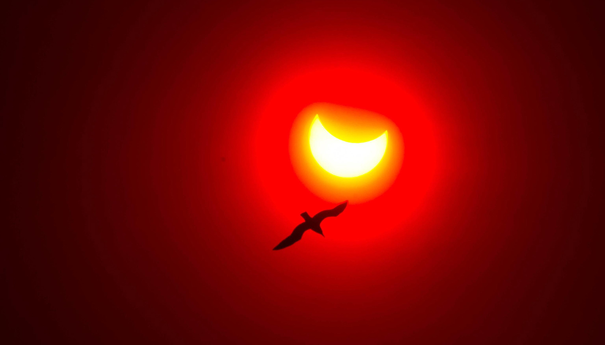 Non sei riuscito a vedere l'eclissi del 12 Agosto? Non disperare: ce ne sar&agrave; un'altra tra pochi mesi. Ecco quando