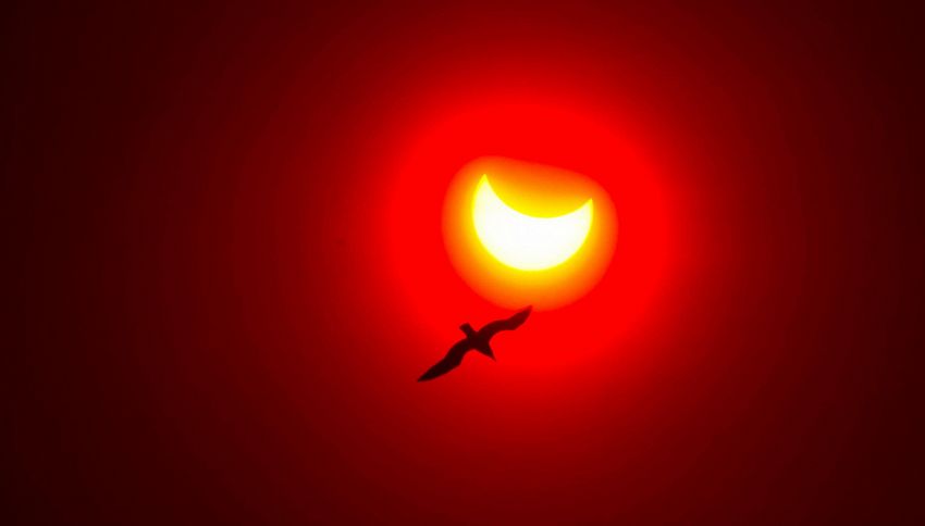 Non sei riuscito a vedere l'eclissi del 12 Agosto? Non disperare: ce ne sar&agrave; un'altra tra pochi mesi. Ecco quando