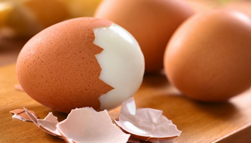 Perché non bisogna buttare i gusci delle uova