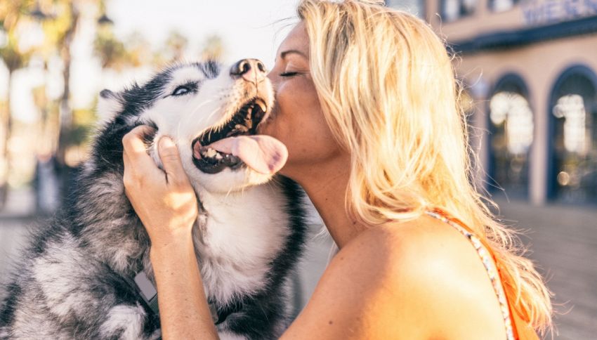 Baciare il proprio cane sulla bocca è pericoloso?