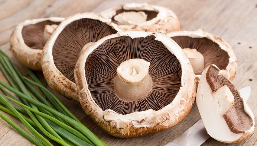 Potresti non voler mangiare più funghi dopo questa scoperta