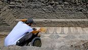 Tartaruga con il suo uovo intatta dopo 2000 anni, la scoperta a Pompei