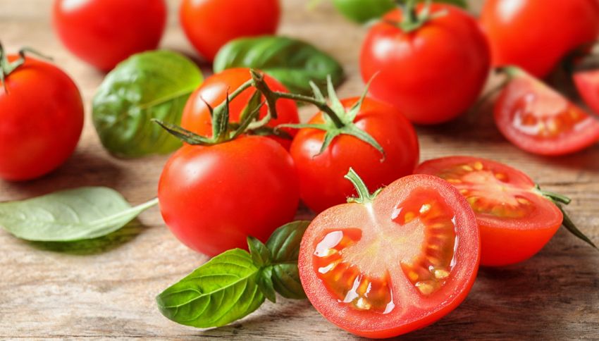 Pomodori e basilico, cosa accade se li mangi spesso: gli effetti