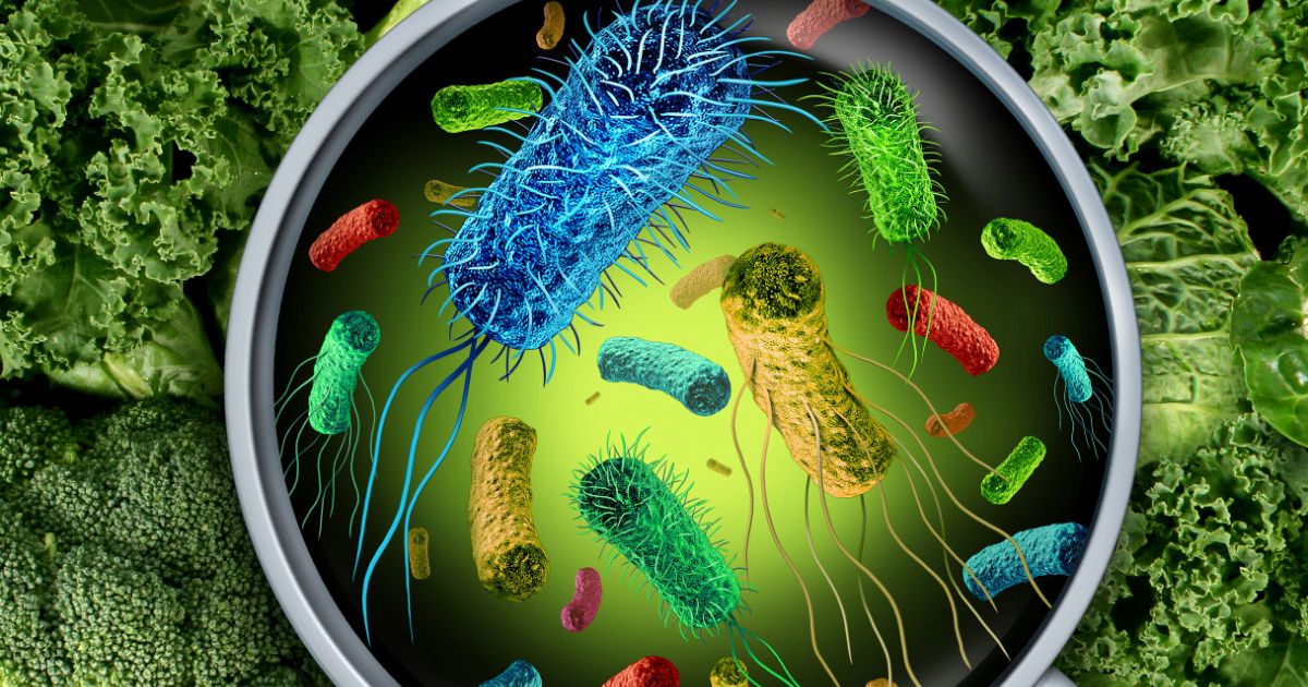 Микробы на одежде. Микробные продукты это. Микробные продукты это. Молочные бактерии. Пищевое отравление.