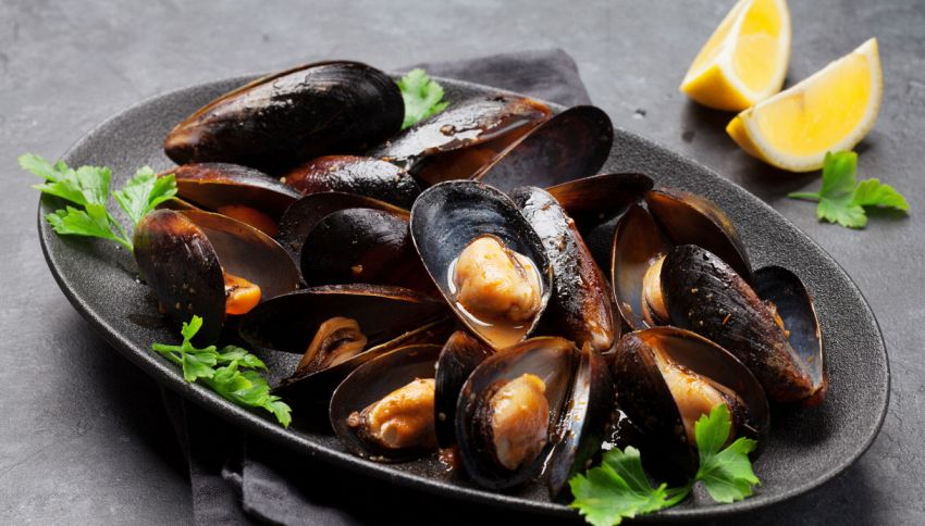 Dove butti i gusci di cozze o vongole? Non è nell'organico