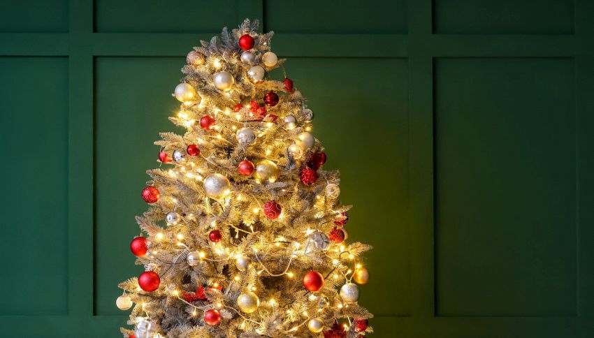 Quando si toglie l'albero di Natale? La data non è il 6 Gennaio
