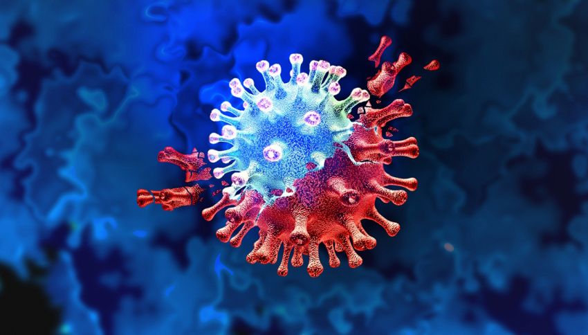 Nuovo virus 'vampiro': i segni del 'morso'. Quanto è pericoloso