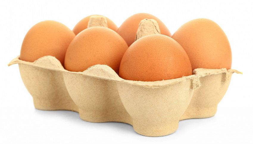 Come conservare le uova fino a un anno: il pratico trucco