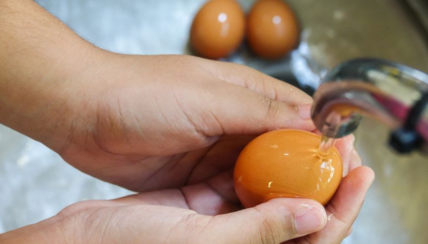 Lavi le uova prima di usarle? Stai sbagliando