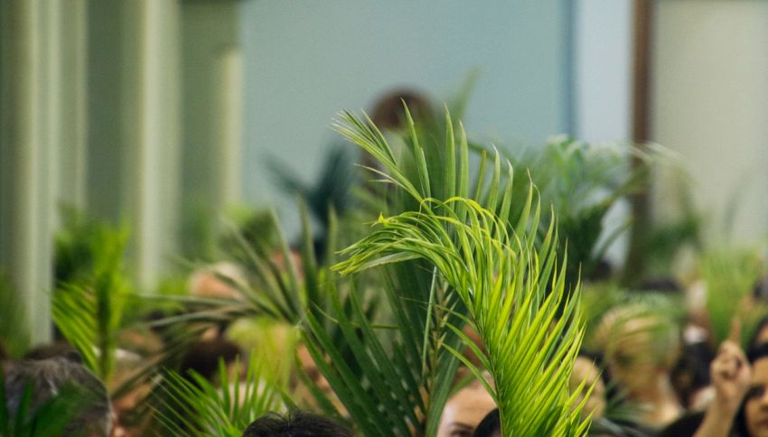Domenica delle Palme, la leggenda sul meteo: accadrà a Pasqua