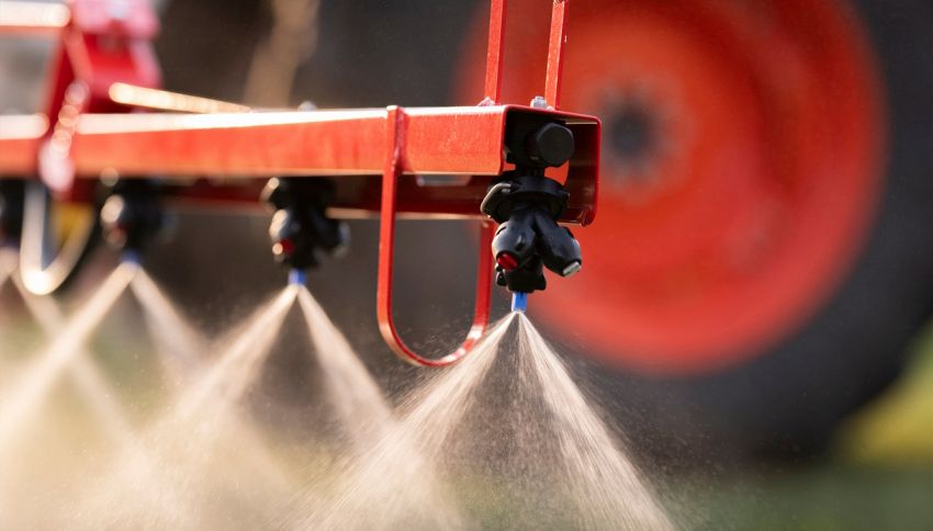 Pesticidi, è il frutto più contaminato e pericoloso per la salute