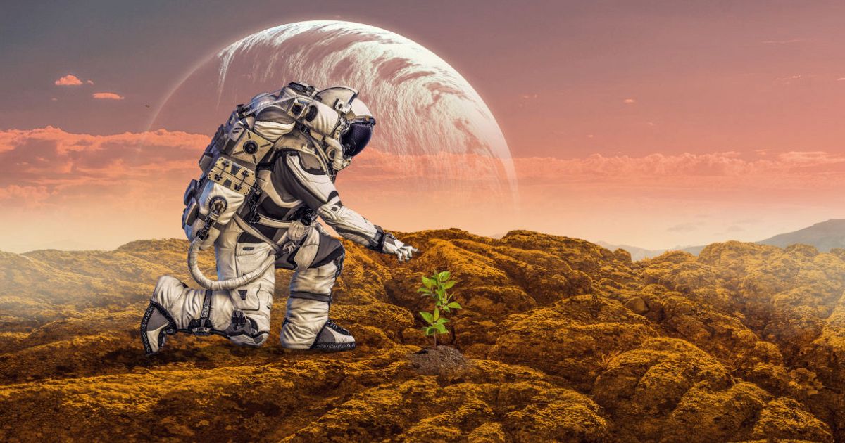 Life on other planets. Марс, планета. Пейзаж другой планеты. Studies life on other planets. Жители других планет.