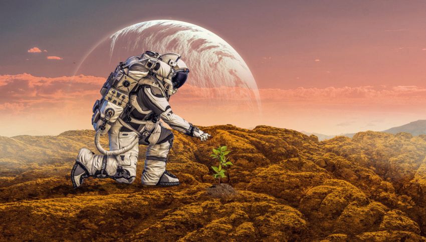 Marte, vita aliena al 100%: la pianta trovata sul pianeta rosso