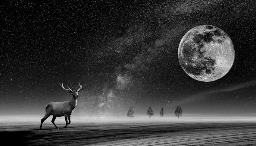Oroscopo, la luna del cervo sconvolgerà la vita di questi segni