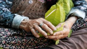 Il segreto per arrivare a 108 anni? 'Preferire i cani ai figli'