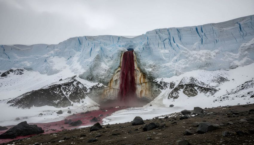 Antartide, mistero sulle "cascate di sangue": cosa sta accadendo