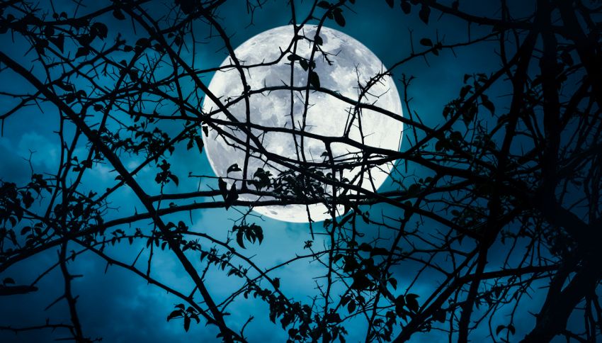 Eclissi di luna: il 28 ottobre arriva uno spettacolo 'spaventoso'