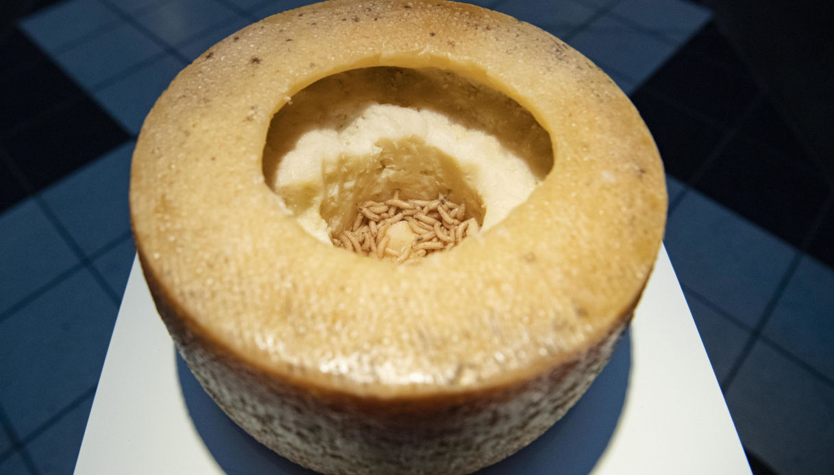 Il formaggio pi&ugrave; pericoloso al mondo &egrave; italiano: lo assaggeresti mai?