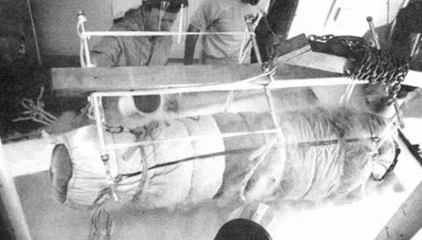 Più di 50 anni fa il primo uomo ibernato: può tornare in vita?