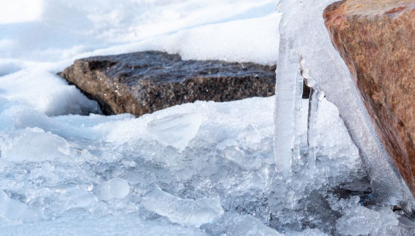 Crollo termico a -52 gradi in poche ore, animali morti congelati: video shock