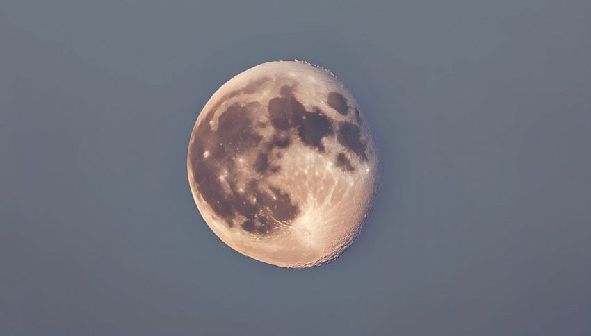 Il 25 Marzo guardate il cielo, cosa accadrà alla Luna: lo spettacolo 'viscido'
