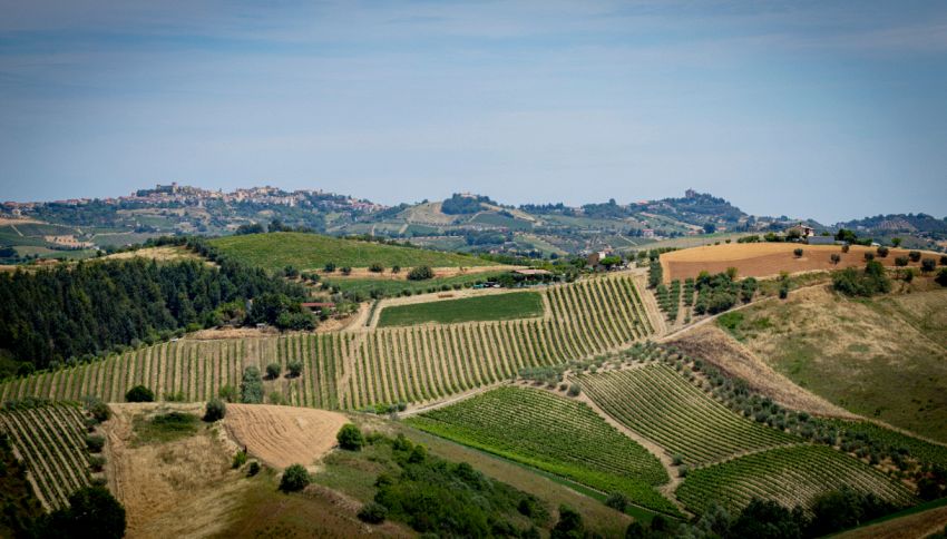 Italia, la regione dove si vive di più non è di certo la Sardegna. Il segreto sta nella terra. Dove si trova