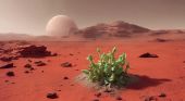 La NASA ti paga per vivere un anno come su Marte: si cercano quattro volontari. Come candidarsi