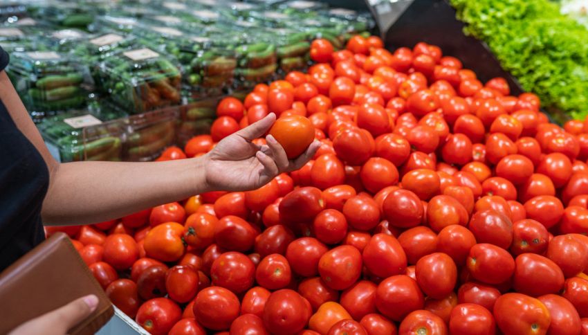 Perché i pomodori non andrebbero mai conservati in frigo?