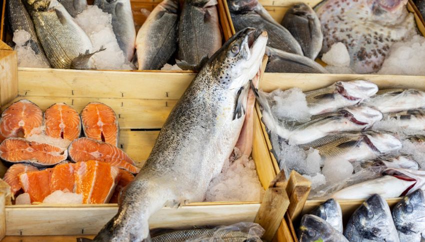 I 10 tipi di pesce più sostenibili da mangiare nelle festività di Natale