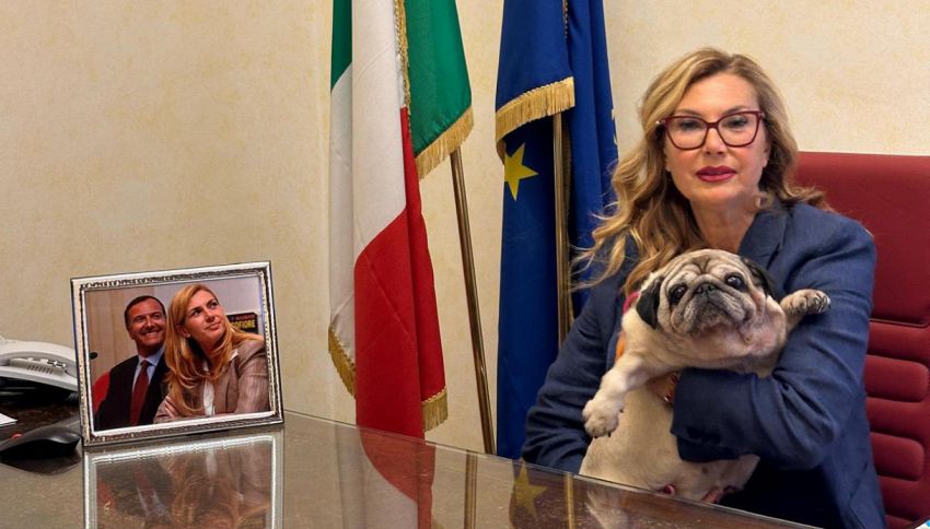 Questo è il primo cane a entrare in Senato: le nuove regole di Palazzo Madama sugli animali domestici