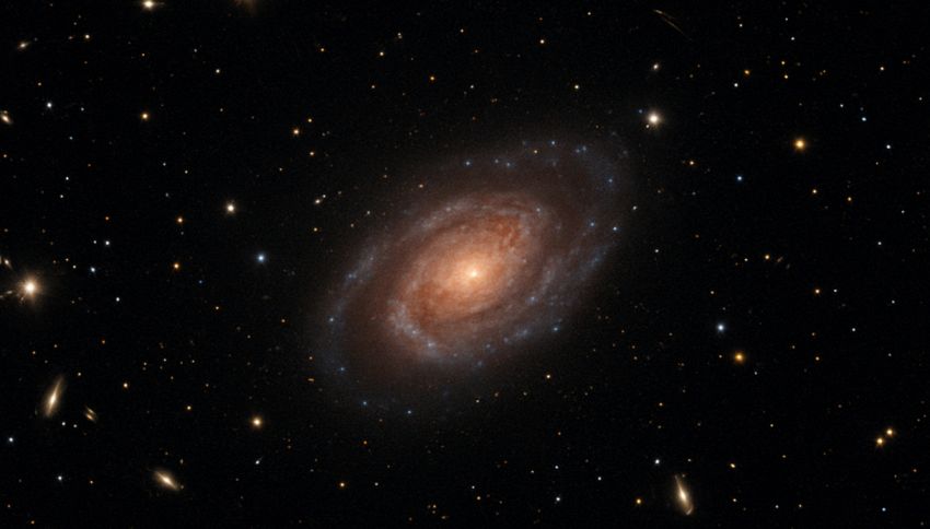 Scoperta la nuova galassia più lontana di sempre: quanti anni luce è distante rispetto alla nostra