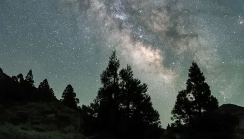Maggio, la sorpresa che porterà fortuna. Accadrà per tre volte in questa settimana