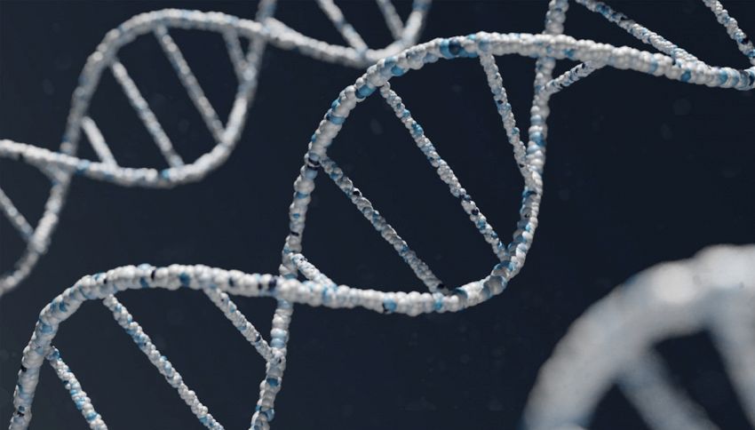 Scienziati vogliono costruire il DNA umano in laboratorio: l'incubo di Frankenstein