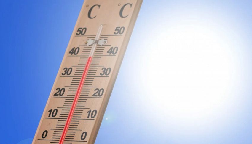 Accadrà il 3 luglio, la Terra si allontana dal Sole ma il caldo esploderà: il paradosso dell'estate rovente spiegato dalla scienza