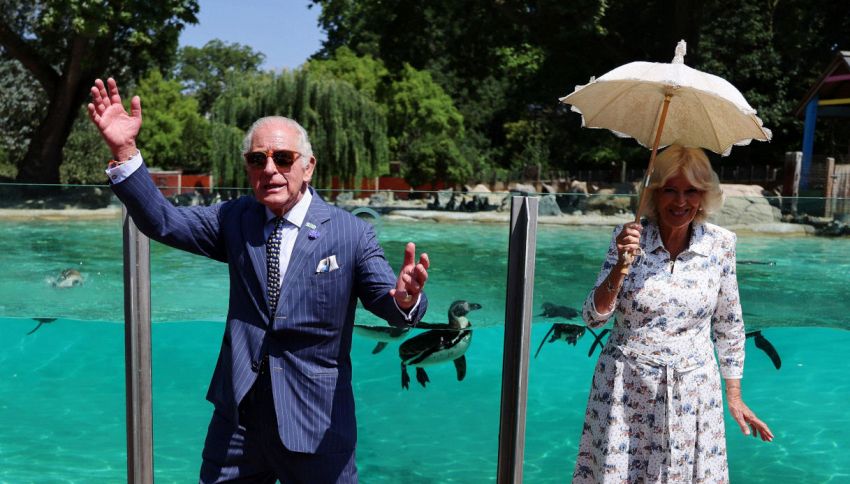 Il regalo 'insolito' di Re Carlo per la regina Camilla: cosa le ha regalato per il suo compleanno