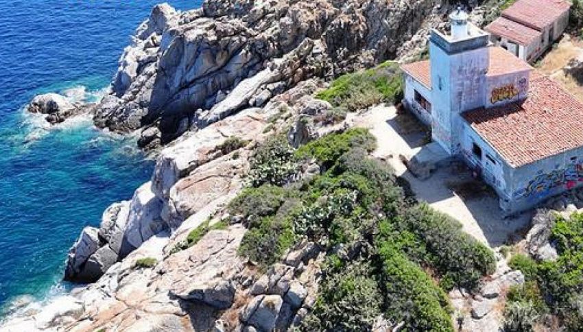 Sardegna, pesce velenoso a Muravera: la vacanza di un ragazzo finisce in ospedale